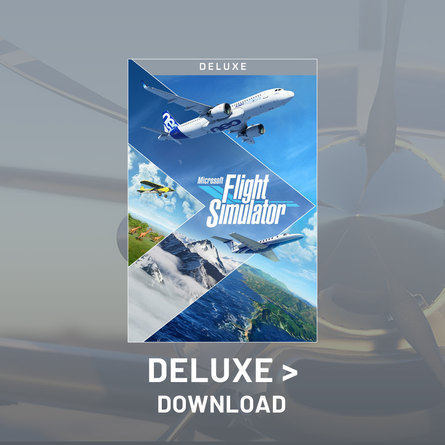 game flight simulator